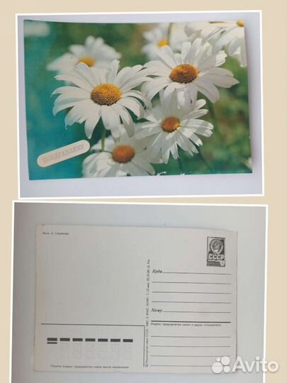 Открытки СССР чистые. Есть Новогодние