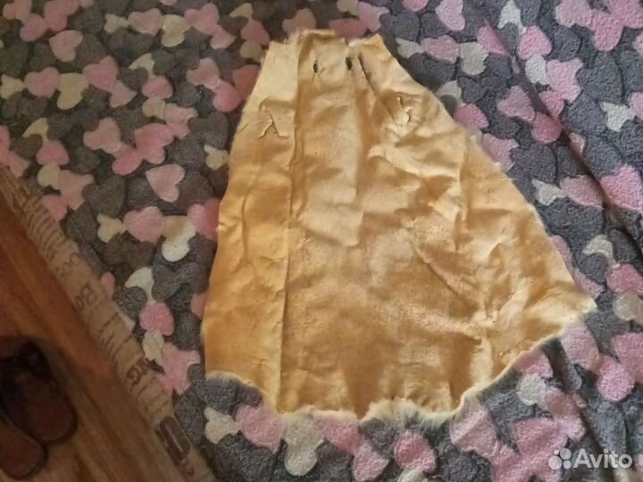 Шкурка животного