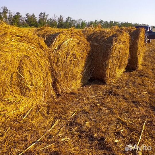 Сено в рулонах