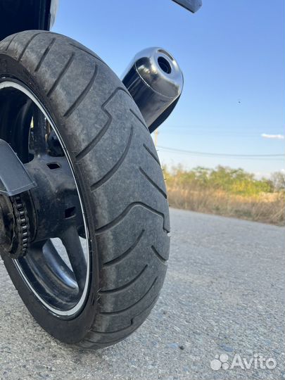 Stels flex 250