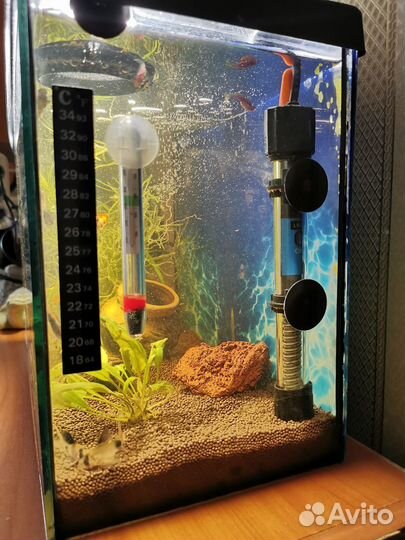 Аквариум с рыбками