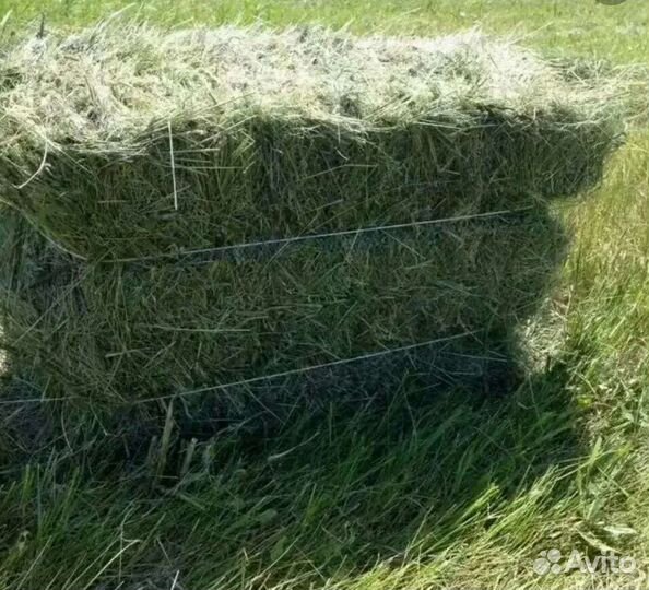 Сено в тюках