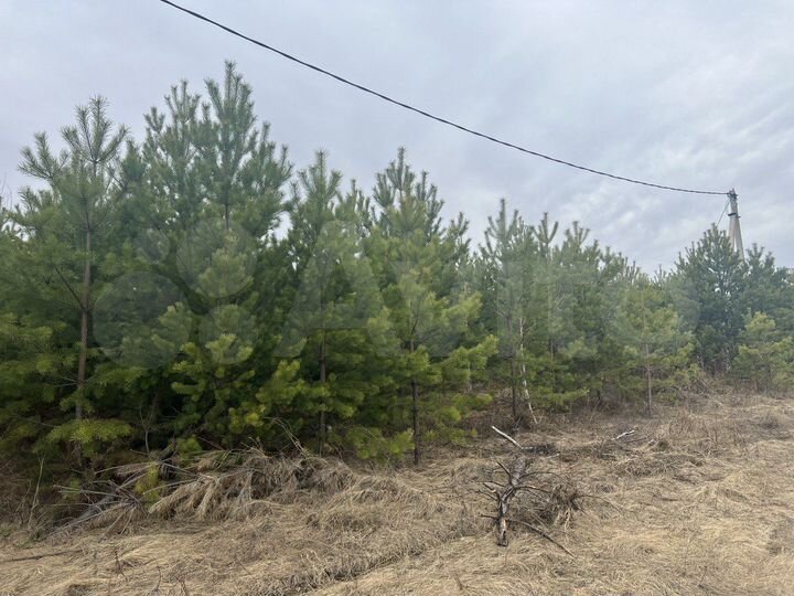 Участок 5 сот. (ИЖС)