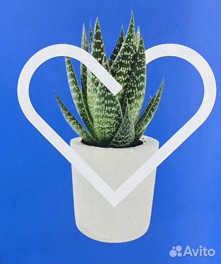 Покупка и продажа недвижимости