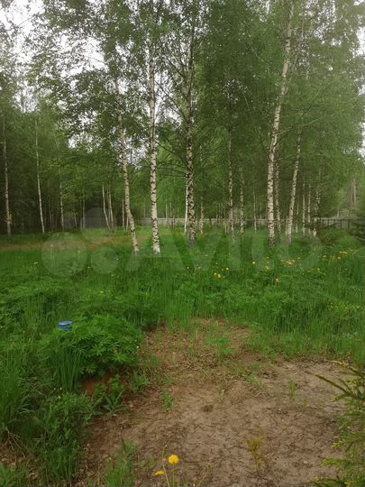 Участок 30 сот. (СНТ, ДНП)