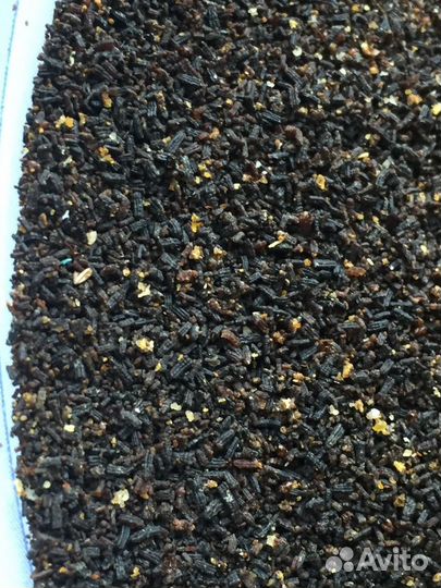 Огневка, пжвм, Личинки Восковой Моли