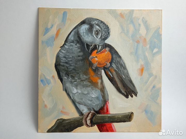 Картина с серым попугаем жако масло 25 на 25 см