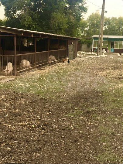 Участок 30 сот. (СНТ, ДНП)