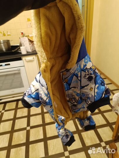 Зимний костюм для собак,мальчик