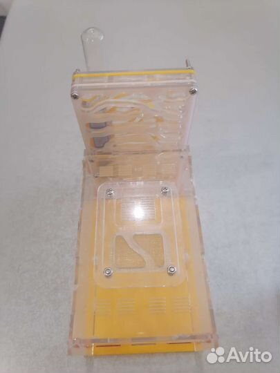 Муравьиная ферма