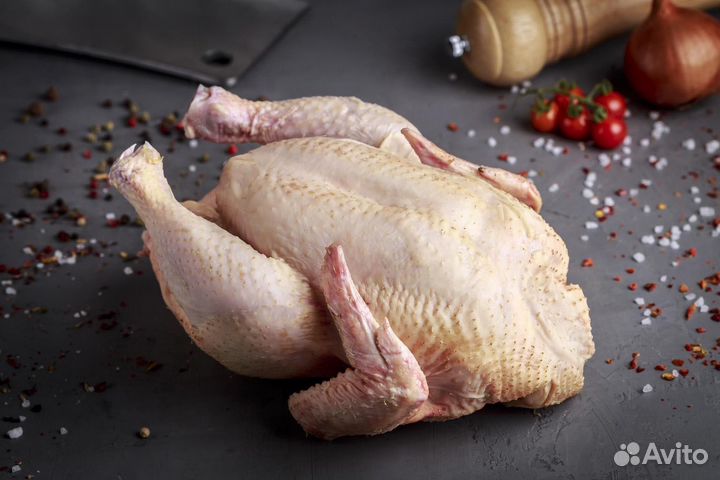 Куры бройлеры тушки мясо