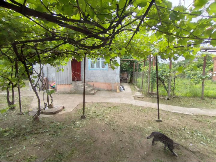 Дом 61 м² на участке 5 сот.