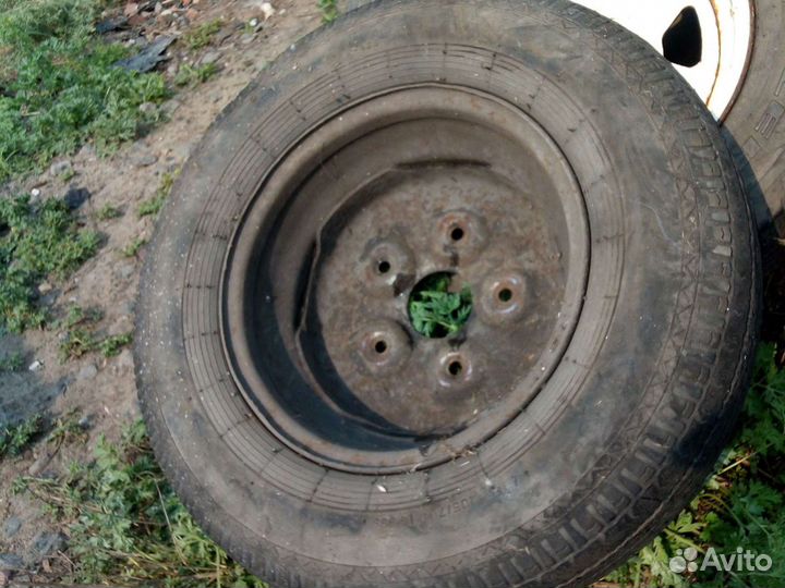 Диск для транзита бегемота