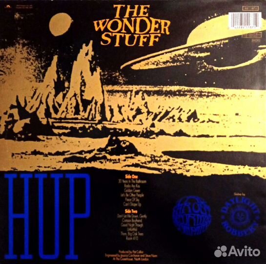 Виниловые пластинки The Wonder Stuff