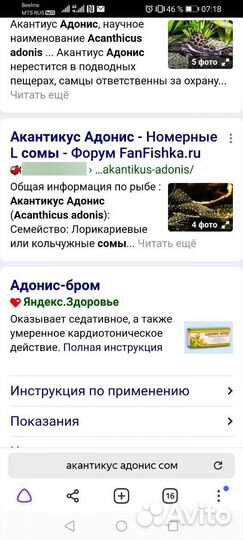 Номерной сом L