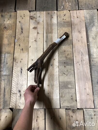 Коряги для террариума среднего размера