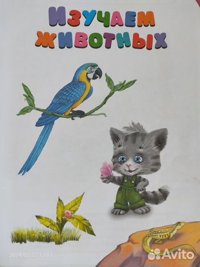 Развивающие книги для детей