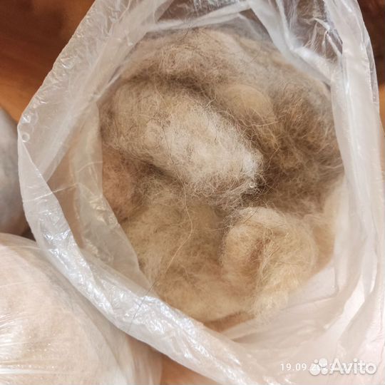 Продам собачью шерсть (шелти)