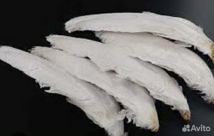 Гусиное крыло