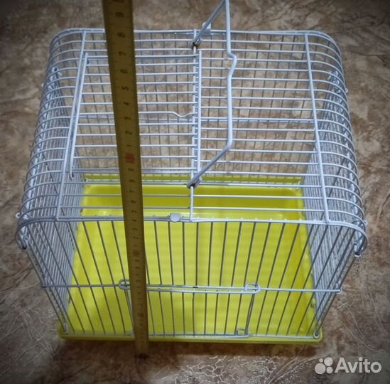 Клетка