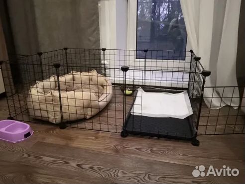 Вольер 24 секции