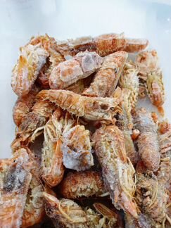 Креветка Медведка люкс мелко-средняя вылов 04.2022