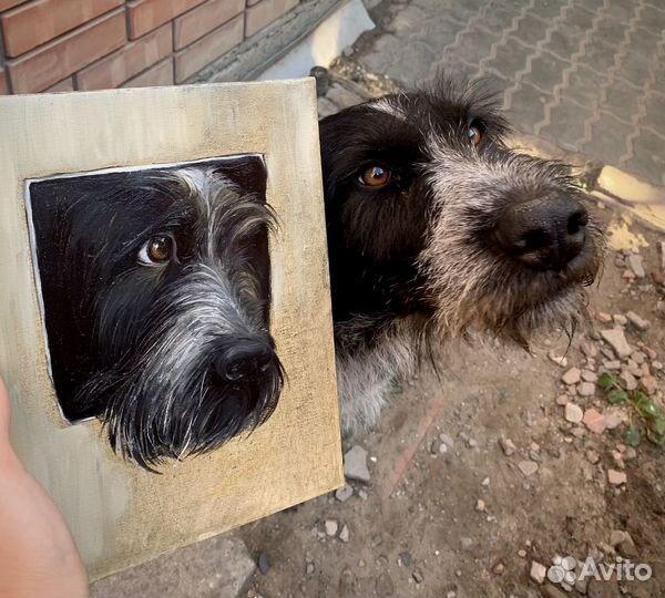 Картина маслом на заказ портрет кота или собаки