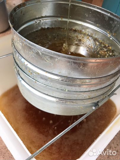 Мёд 2023 года, с доставкой