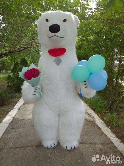 Белый мишка на поздравление