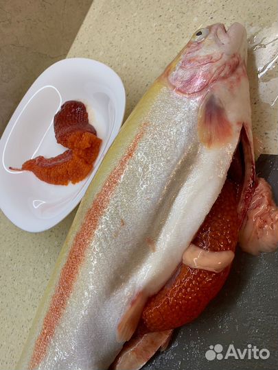 Форель охлажденная с доставкой