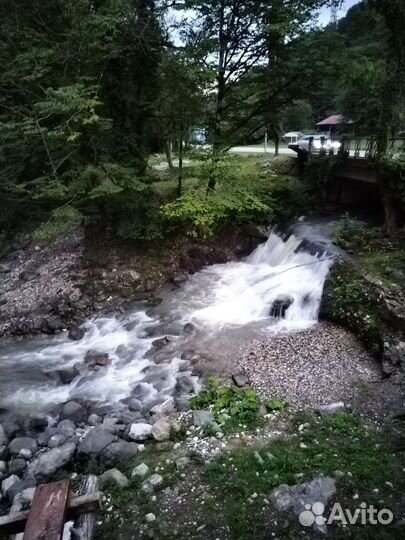 Трансфер в Абхазию. Экскурсии по Абхазии