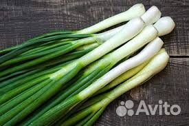Зеленый лук оптом и в розницу