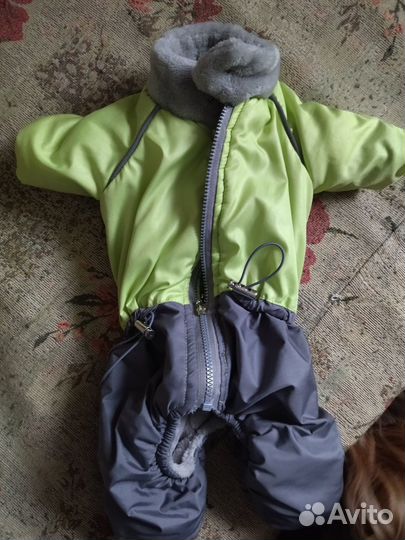 Зимний комбинезон для мелких пород