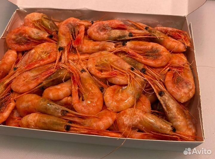 Креветка северная. Свежезамороженные