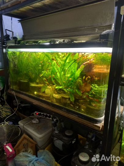 Аквариумы Jebo