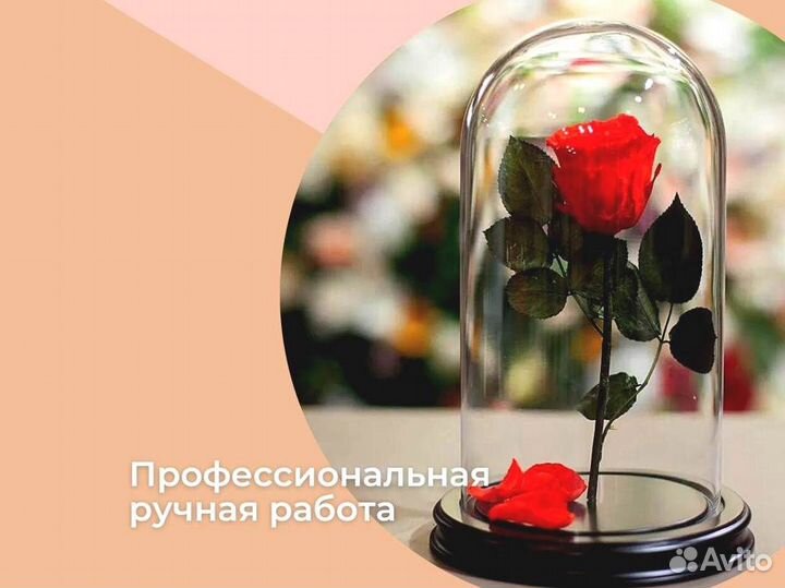 Живая роза в колбе