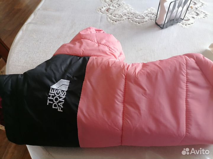 Курточка для красавицы средней породы