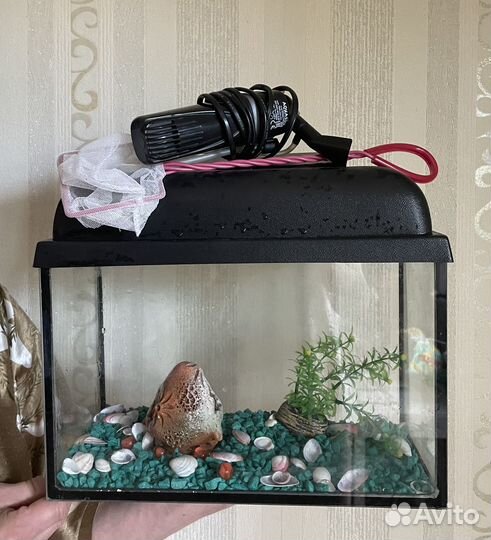 Аквариум для рыб