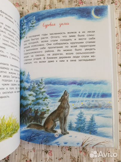 Приключения Уйки