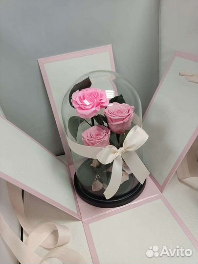 Роза в колбе