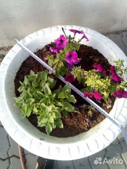 Вазоны для цветов