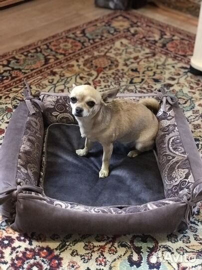 Лежанка для собак