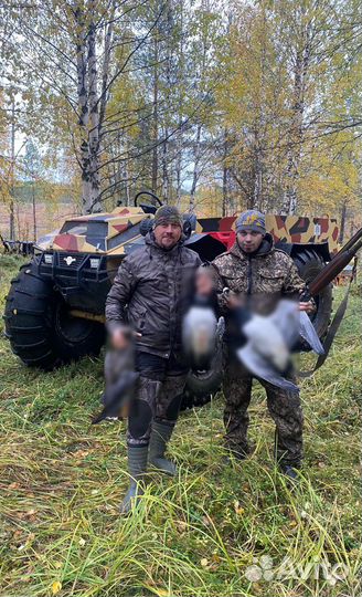 Охота на гусей Карелия