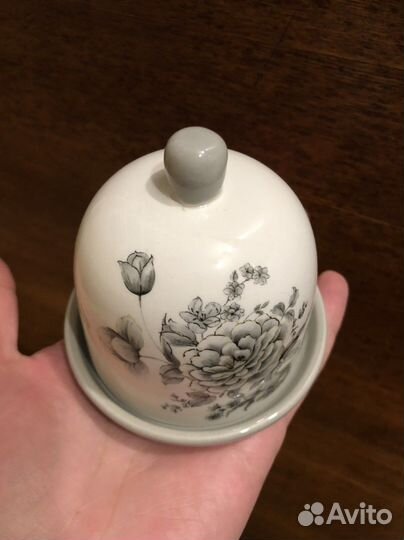 Лимонница Вдохновение Agness