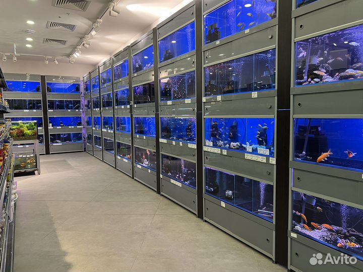 Аквариумные рыбки и растения