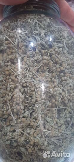 Полынь сушеная