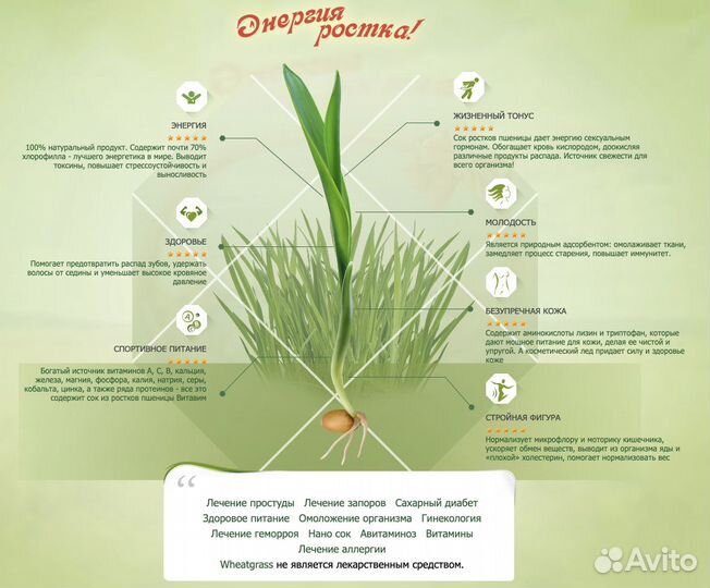 Витграсс, путь к твоей лучшей жизни