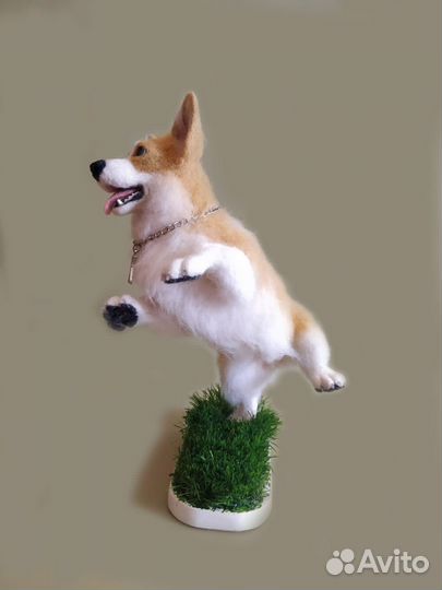 Вельш-корги