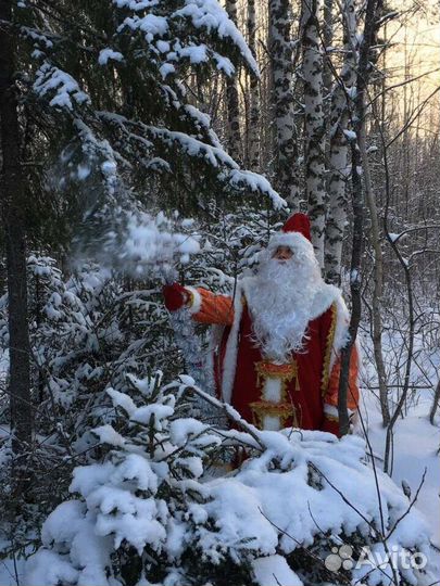 Дед Мороз и Снегурочка