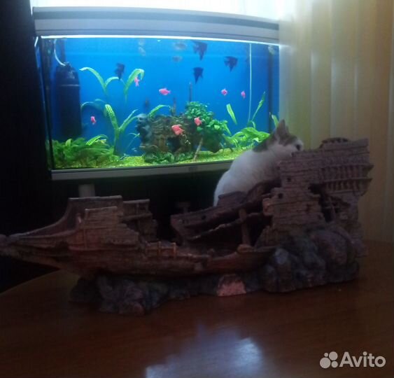 Украшение для аквариума